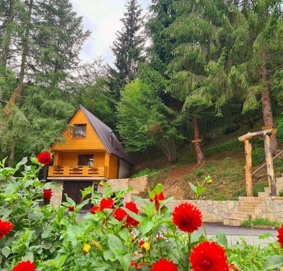 Etno Selo Bistrovo Lägenhet Vitez Exteriör bild